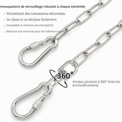 Chaîne pour Chien de 7,6 m pour l'extérieur