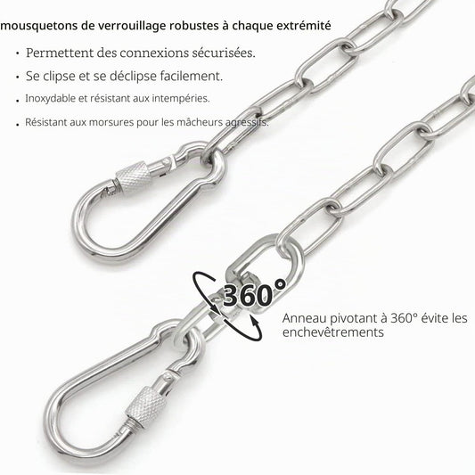 Chaîne pour Chien de 7,6 m pour l'extérieur