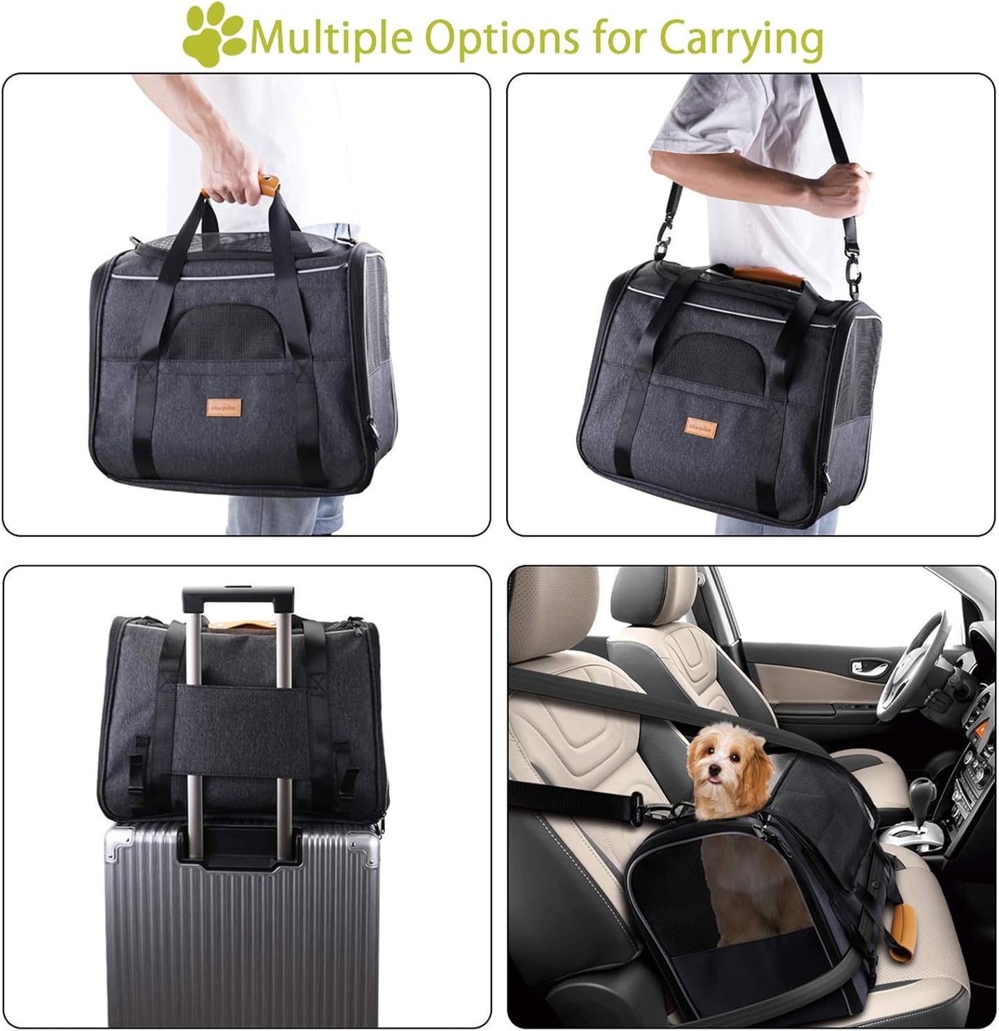 Sac Transport Chat Chien