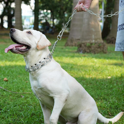 Chaîne pour Chien de 7,6 m pour l'extérieur