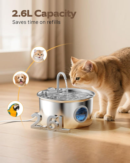 Fontaine a Eau Chat INOX: Fontaine à Eau pour Chat