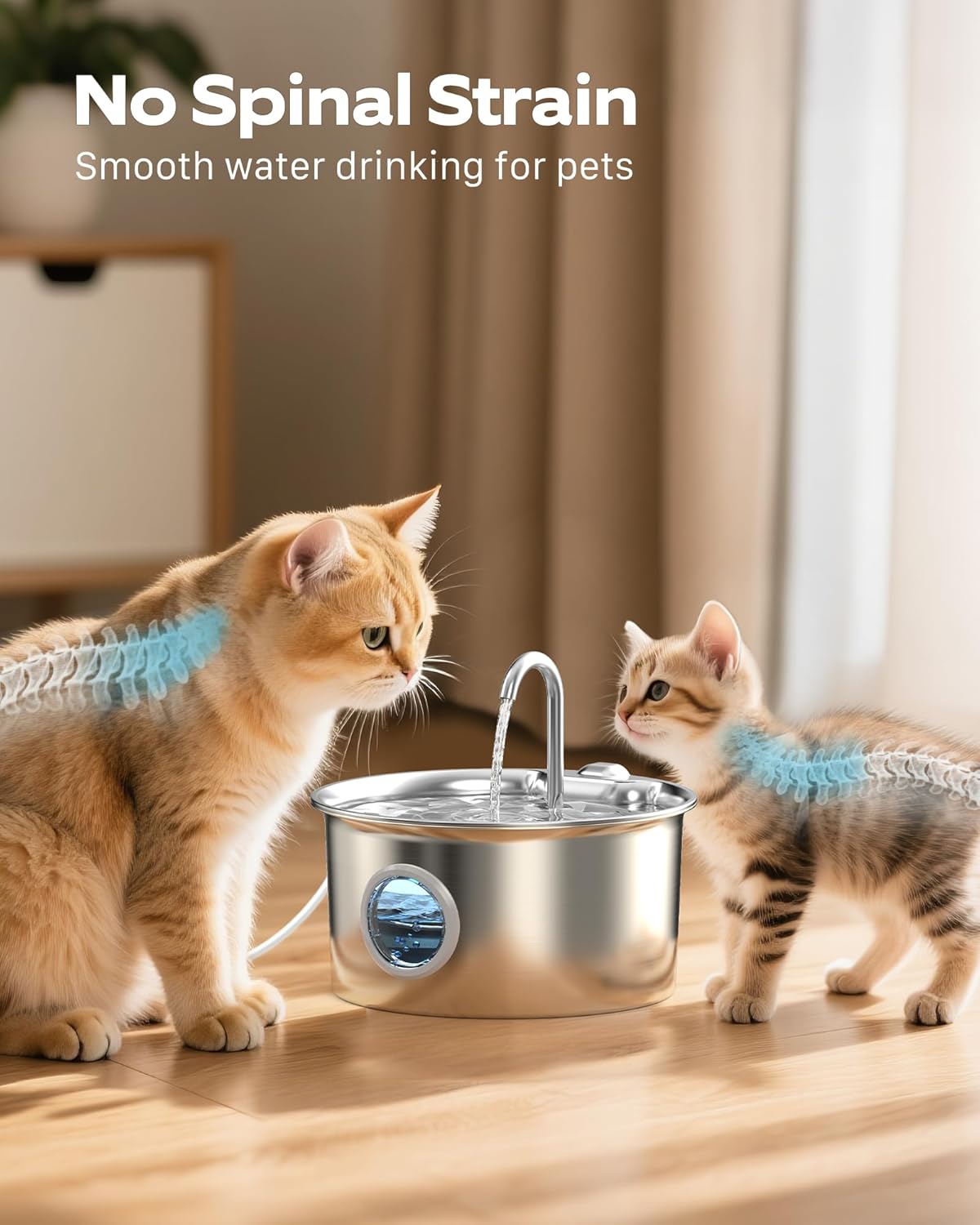 Fontaine a Eau Chat INOX: Fontaine à Eau pour Chat