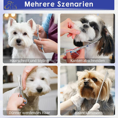 Ciseaux Toilettage Chien