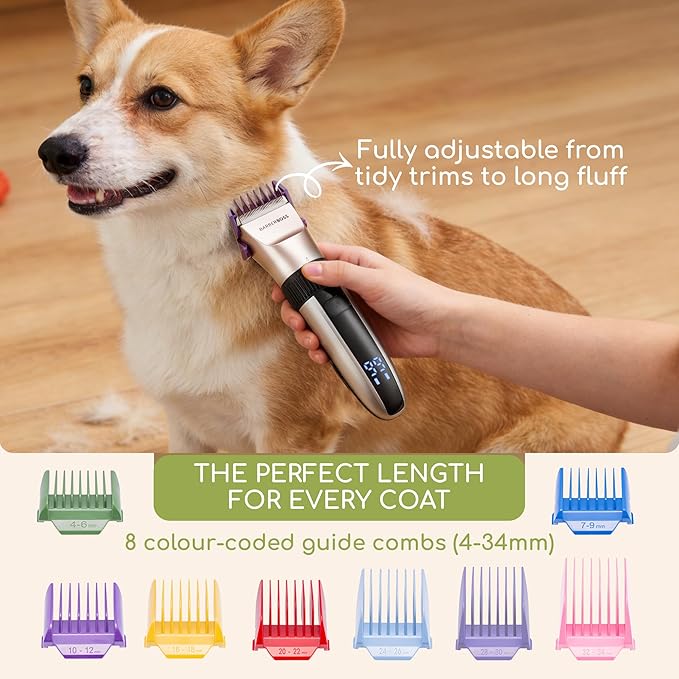 Tondeuse de toilettage sans fil pour chien