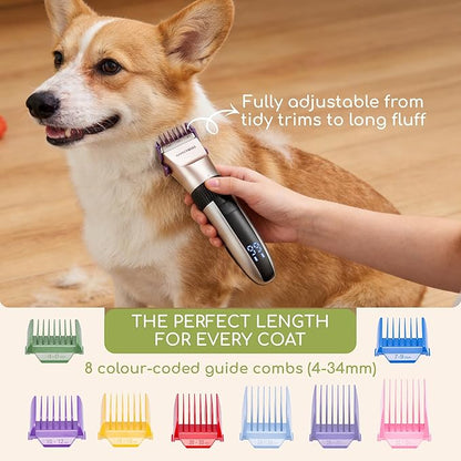 Tondeuse de toilettage sans fil pour chien